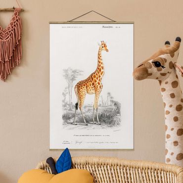 Stoffbild mit Posterleisten - Vintage Lehrtafel Giraffe - Hochformat 2:3