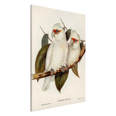 Magnettafel - Vintage Illustration Weißer Kakadu - Memoboard Hochformat 3:2