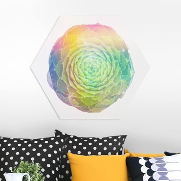 Hexagon Bild Forex - Wasserfarben - Mandala Sukkulente