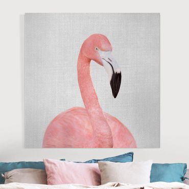 Leinwandbild - Flamingo Fabian - Quadrat 1:1