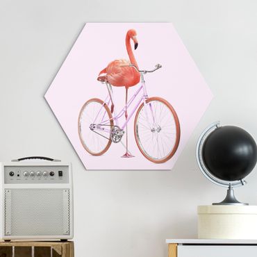 Hexagon-Alu-Dibond Bild - Flamingo mit Fahrrad