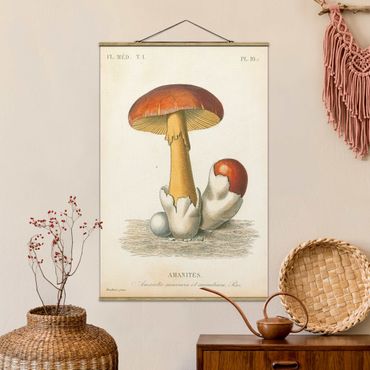 Stoffbild mit Posterleisten - Französische Pilze - Hochformat 2:3