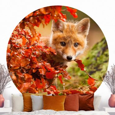 Runde Tapete selbstklebend - Fuchs im Herbst