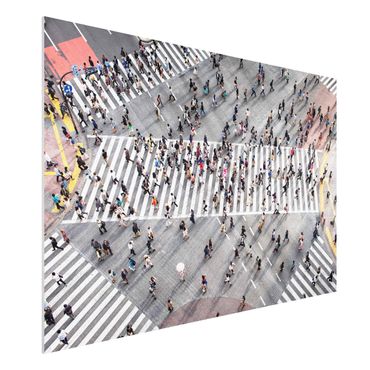 Print on forex - Shibuya Crossing in Tokyo - Landscape format 3:2
