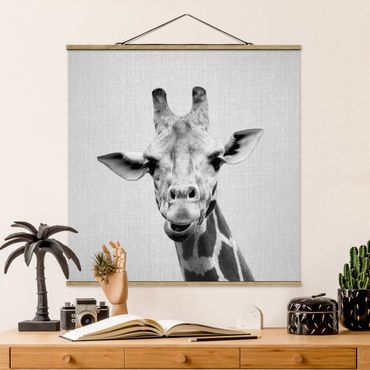 Stoffbild mit Posterleisten - Giraffe Gundel Schwarz Weiß - Quadrat 1:1