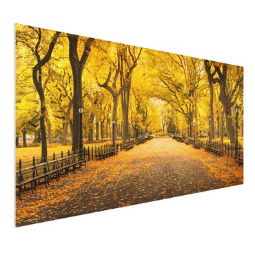 Forex Fine Art Print - Herbst im Central Park - Querformat 2:1