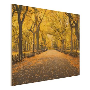 Holzbild - Herbst im Central Park - Querformat