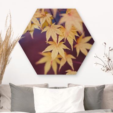 Hexagon Bild Holz - Herbstlicher Ahorn