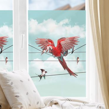 Fensterfolie - Sichtschutz - Himmel mit Vögeln - Fensterbilder