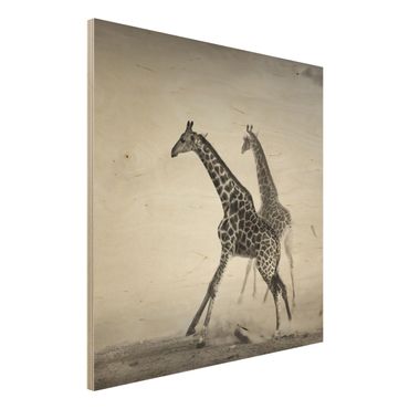 Wandbild aus Holz - Giraffenjagd - Quadrat 1:1