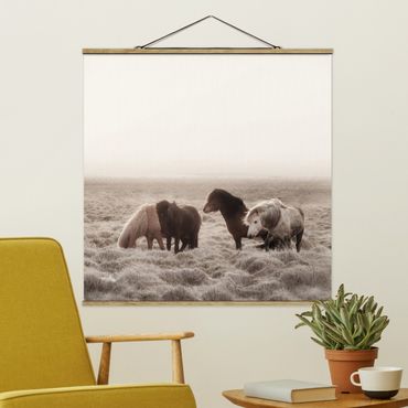 Stoffbild mit Posterleisten - Island Wildpferde - Quadrat 1:1
