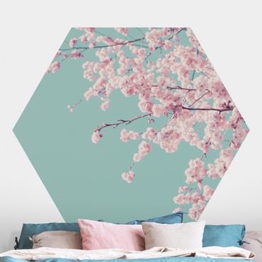 Hexagon Mustertapete selbstklebend - Japanische Kirschblüte