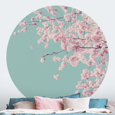 Runde Tapete selbstklebend - Japanische Kirschblüte