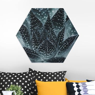 Hexagon Bild Forex - Kaktus mit Sternpunkten bei Nacht