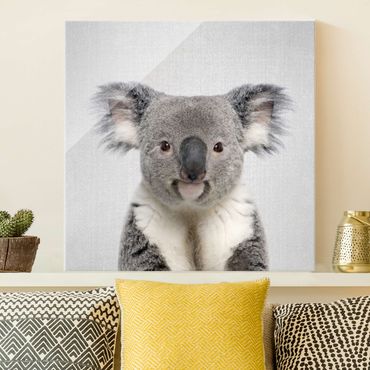 Glasbild - Koala Klaus - Quadrat