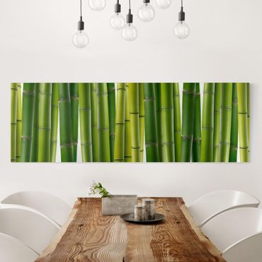 Leinwandbild - Bambuspflanzen - Panorama Quer