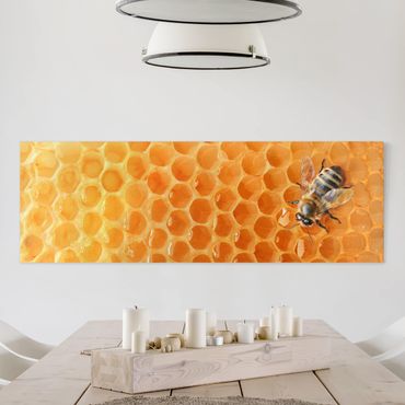 Leinwandbild - Honey Bee - Panorama Quer