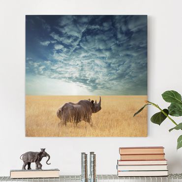 Afrika Leinwandbild Nashorn in der Savanne - Quadrat 1:1