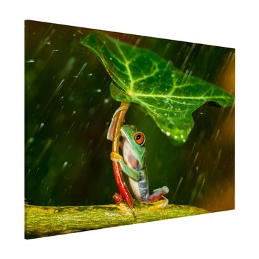 Magnettafel - Ein Frosch im Regen - Memoboard Querformat 3:4