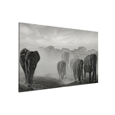 Magnettafel - Elefantenherde - Memoboard Quer