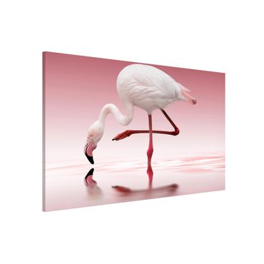 Magnettafel - Flamingo Dance - Memoboard Quer