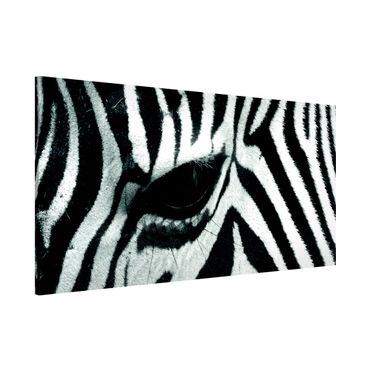 Magnettafel - Zebra Crossing - Memoboard Panorama Quer