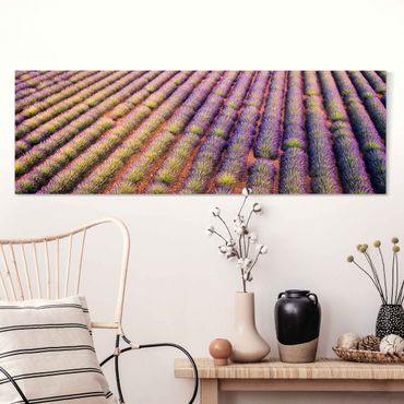 Malerisches Lavendelfeld Fototapete nach Maß | Vliestapete & selbstklebend  | WALLART | Vliestapeten