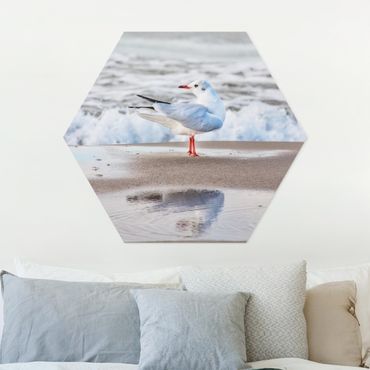 Hexagon-Forexbild - Möwe am Strand vor Meer