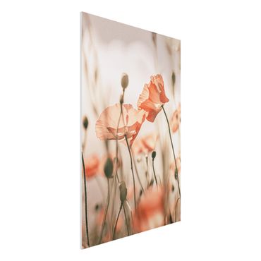Forex Fine Art Print - Mohnblüten im Sommerwind - Hochformat 2:3