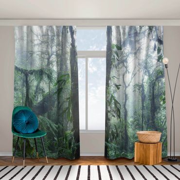 Vorhang - Monteverde Nebelwald