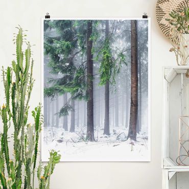 Poster - Nadelbäume im Winter - Hochformat 3:4