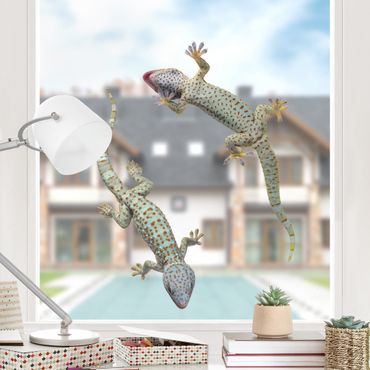 Fensterfolie - Fenstersticker No.250 Neugierige Geckos - Fensterbilder