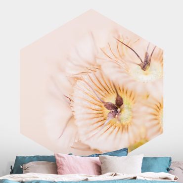 Hexagon Mustertapete selbstklebend - Pastellfarbener Blütenstrauß