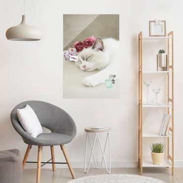 Glasbild - Schlafende Katze mit Rosen - Hochformat