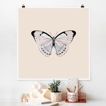Poster - Schmetterling auf Beige - Quadrat 1:1