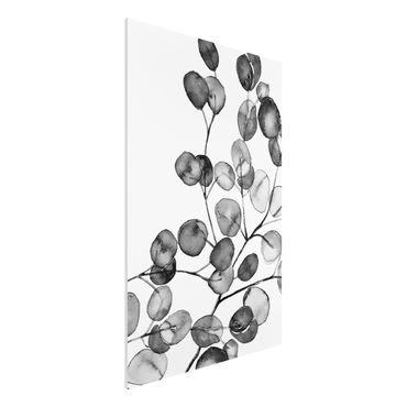 Forex Fine Art Print - Schwarz Weiß Aquarell Eukalyptuszweig - Hochformat 2:3