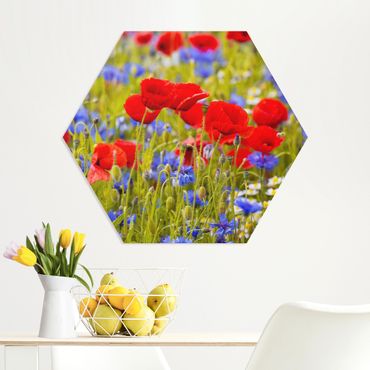 Hexagon-Forexbild - Sommerwiese mit Mohn und Kornblumen