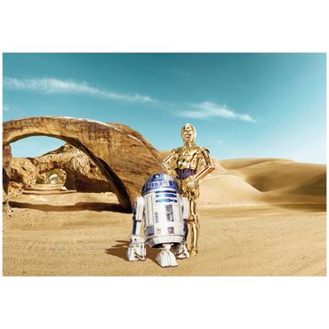 Fototapeten - Star Wars - C-3PO & R2-D2 Tatooine