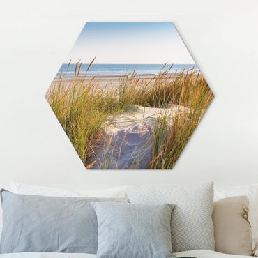 Hexagon-Alu-Dibond Bild - Stranddüne am Meer