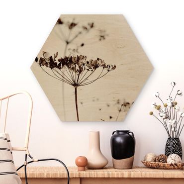 Hexagon Bild Holz - Trockenblume im Schatten