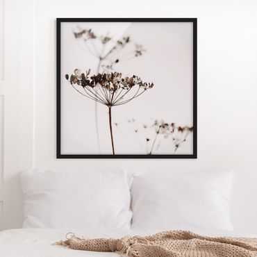 Bild mit Rahmen - Trockenblume im Schatten - Quadrat
