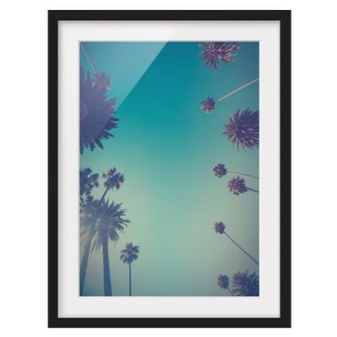 Bild mit Rahmen - Tropische Pflanzen Palmen und Himmel II