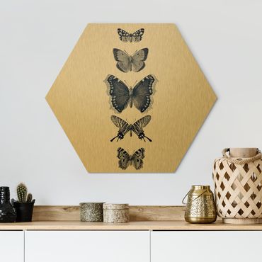 Hexagon Bild Alu-Dibond - Tusche Schmetterlinge auf Beige