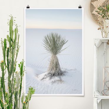 Poster - Yucca Palme in weißem Sand - Hochformat 2:3