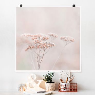 Poster - Zartrosane Wildblumen - Quadrat 1:1
