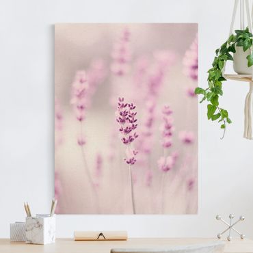 Leinwandbild Natur - Zartvioletter Lavendel - Hochformat 3:4
