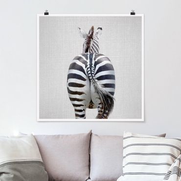 Poster - Zebra von hinten - Quadrat 1:1