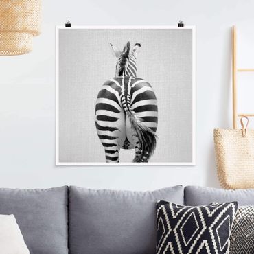 Poster - Zebra von hinten Schwarz Weiß - Quadrat 1:1