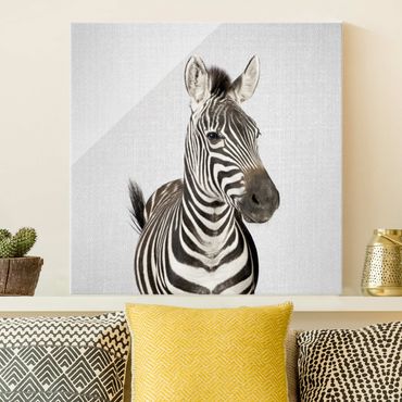 Glasbild - Zebra Zilla - Quadrat
