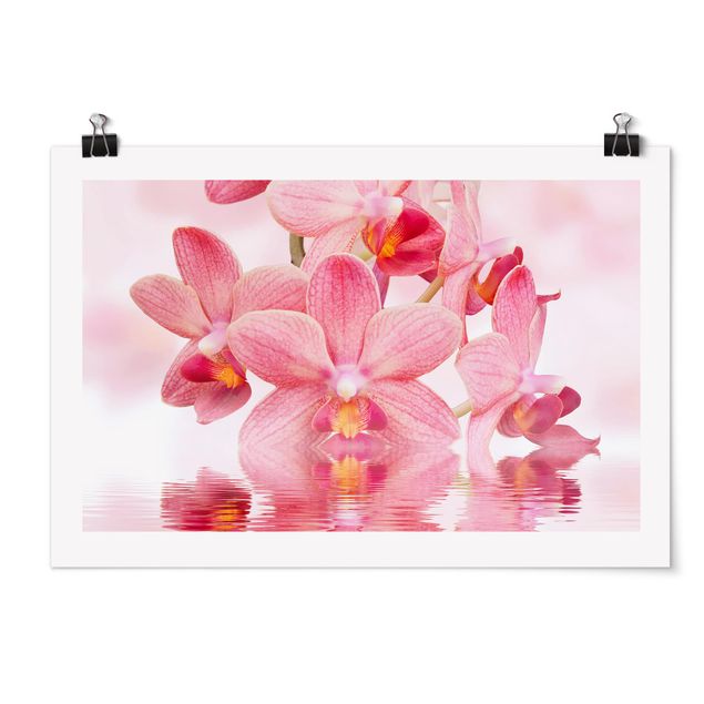 Wanddeko Flur Rosa Orchideen auf Wasser